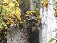 Ein Herz wird festgehalten