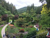 Der versunkene Garten der Butschart Gaerten, Victoria