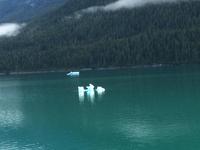 wie Skulpturen sind die Eisberge