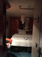 Hilfe, ein Aff in meiner Kabine