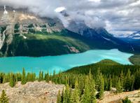 Peyto Lake 