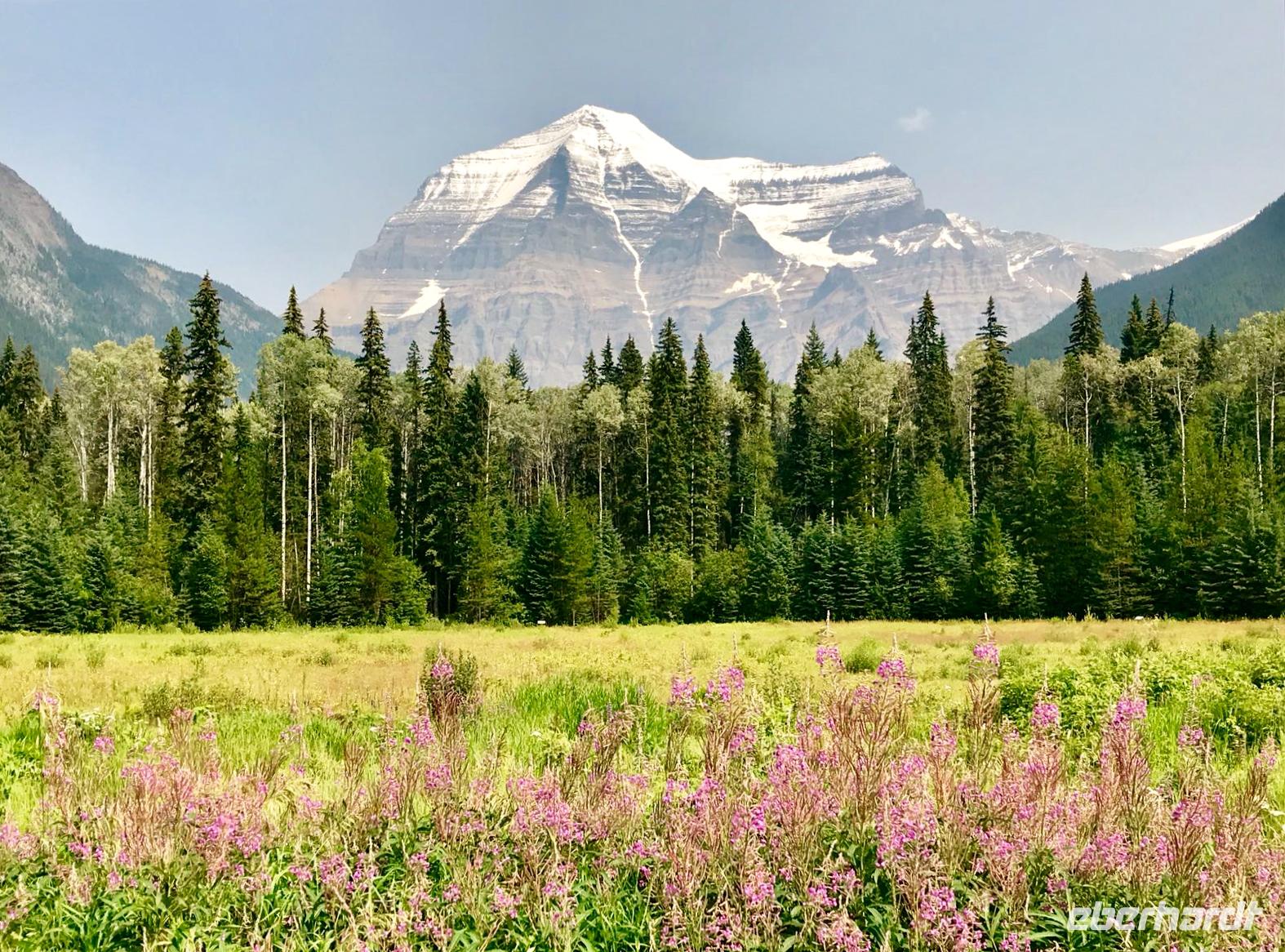 Blick auf den Mount Robson
