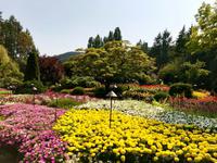 Butchart Gardens