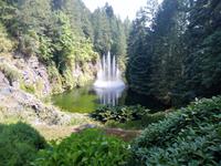 Butchart Gardens