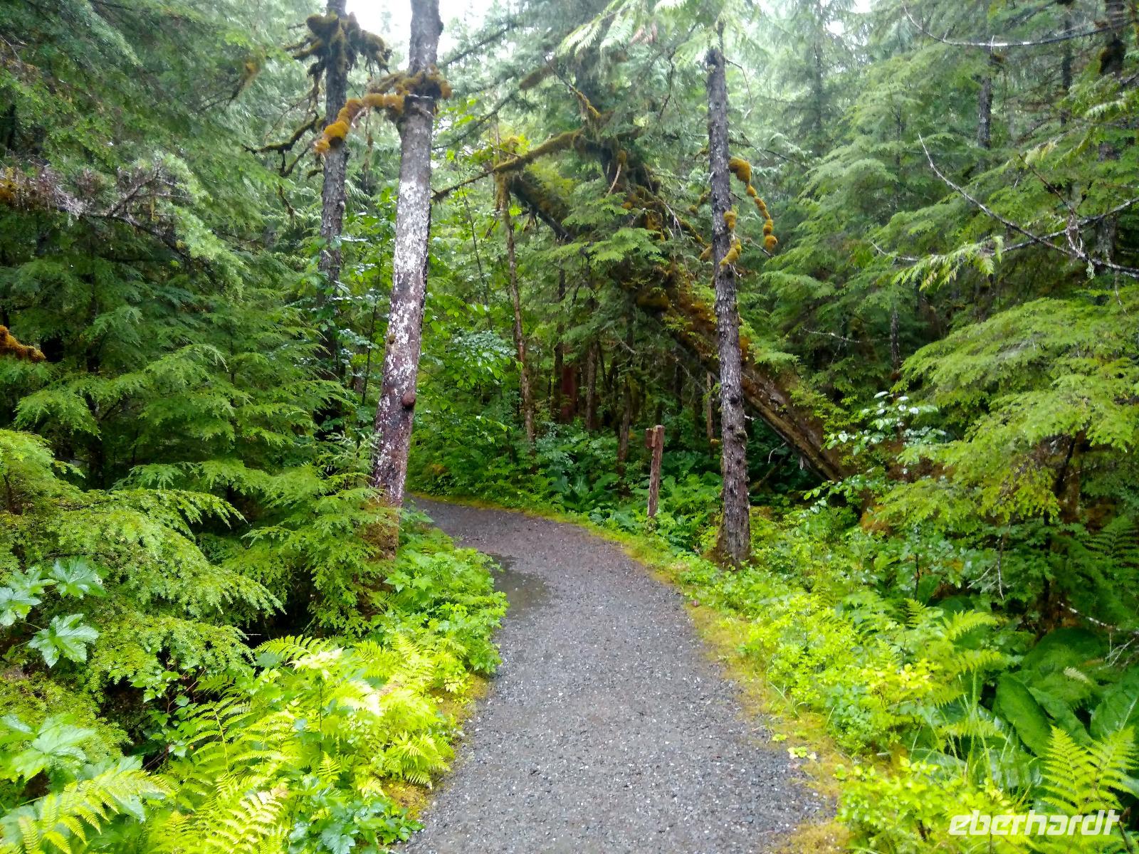Wanderung bei Ketchikan