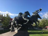 Stadtrundfahrt in Calgary - Stampede Grounds