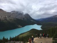 Icefields Parkway - Peyto Lake