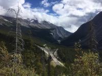 Auf dem Icefields Parkway