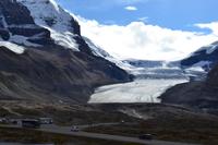 Icefields Parkway - Am Athabasca Glacier