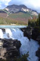 Icefields Parkway - Spaziergang an den Athabasca Falls