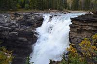 Icefields Parkway - Spaziergang an den Athabasca Falls