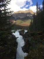 Icefields Parkway - Spaziergang an den Athabasca Falls