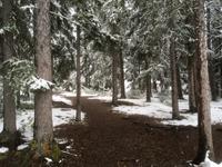 Jasper National Park - Wintereinbruch am Maligne Lake