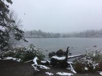 Jasper National Park - Wintereinbruch am Pyramid Lake