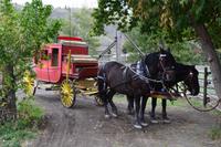 Auf der Hat Creek Ranch