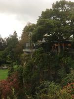 Stadtrundfahrt Vancouver - Queen Elisabeth Park