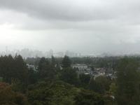 Stadtrundfahrt Vancouver - Queen Elisabeth Park