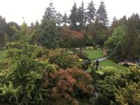 Stadtrundfahrt Vancouver - Queen Elisabeth Park