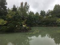 Stadtrundfahrt Vancouver - Chinatown