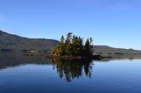 Kreuzfahrt Alaska - Ketchikan  - Bootsausflug & Adlerbeobachtung