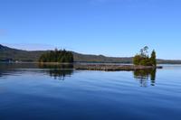Kreuzfahrt Alaska - Ketchikan  - Bootsausflug & Adlerbeobachtung