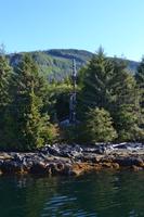 Kreuzfahrt Alaska - Ketchikan  - Bootsausflug & Adlerbeobachtung