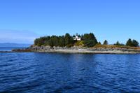 Kreuzfahrt Alaska - Ketchikan  - Bootsausflug & Adlerbeobachtung