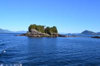 Kreuzfahrt Alaska - Ketchikan  - Bootsausflug & Adlerbeobachtung