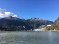 Kreuzfahrt nach Alaska - Ausflug zum Mendenhall Glacier