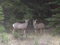 ach, ihr seid auch da ? 