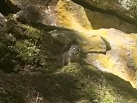 man sieht mich kaum !