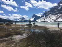 das Bow Lake - Foto
