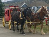 hue ho zum Goldrausch