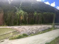 Holzstau auf  Duffy Lake 