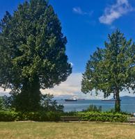 Frachter warten vor Vancouver