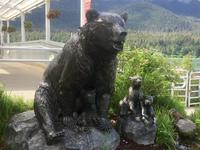 Bewachung der Fischaufzucht