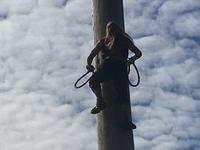 lustige Holzfaeller Show in Ketchikan