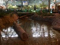 der Bach im Flughafengebaeude YVR