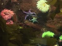 Nostalgie beim Aquarium im Flughafengebaeude