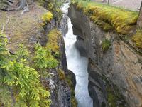 3. Tag Panoramafahrt entlang des Icefields Parkway – Columbia Icefield – Jasper-Nationalpark (17)