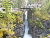 3. Tag Panoramafahrt entlang des Icefields Parkway – Columbia Icefield – Jasper-Nationalpark (18)