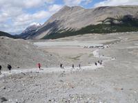 3. Tag Panoramafahrt entlang des Icefields Parkway – Columbia Icefield – Jasper-Nationalpark (30)