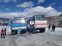 3. Tag Panoramafahrt entlang des Icefields Parkway – Columbia Icefield – Jasper-Nationalpark (33)