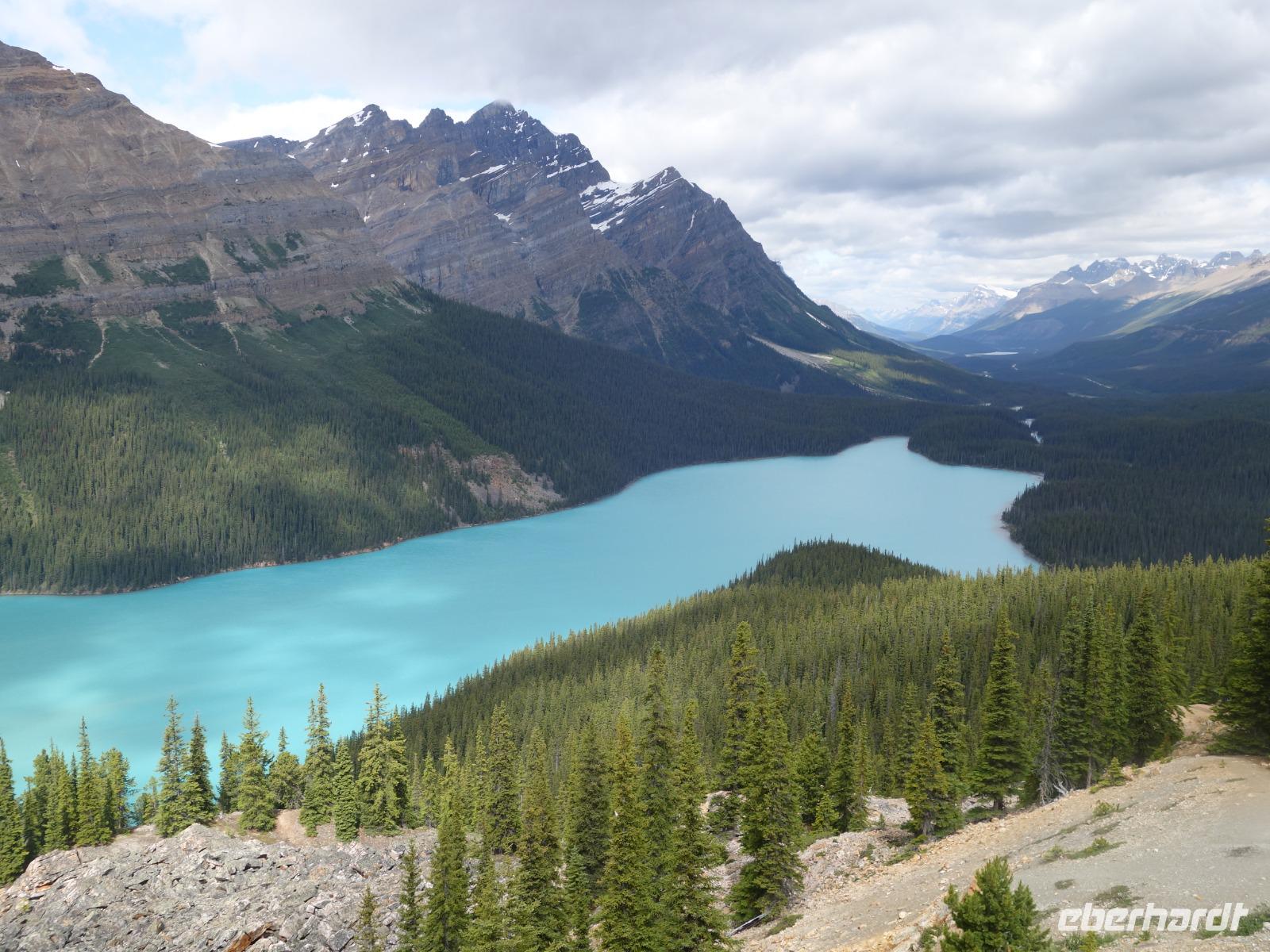 3. Tag Panoramafahrt entlang des Icefields Parkway – Columbia Icefield – Peyto Lake (2)