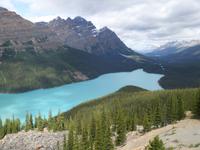 3. Tag Panoramafahrt entlang des Icefields Parkway – Columbia Icefield – Peyto Lake (2)
