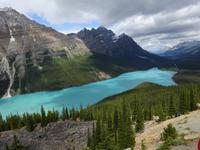 3. Tag Panoramafahrt entlang des Icefields Parkway – Peyto See