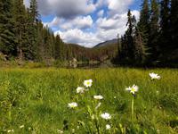 4. Tag Weiterreise nach British Columbia - Kamloops (3)