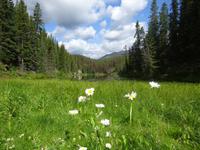 4. Tag Weiterreise nach British Columbia - Kamloops (13)