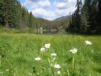 4. Tag Weiterreise nach British Columbia - Kamloops (28)