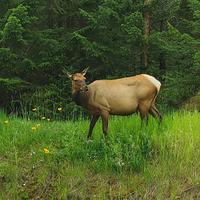 4. Tag Weiterreise nach British Columbia